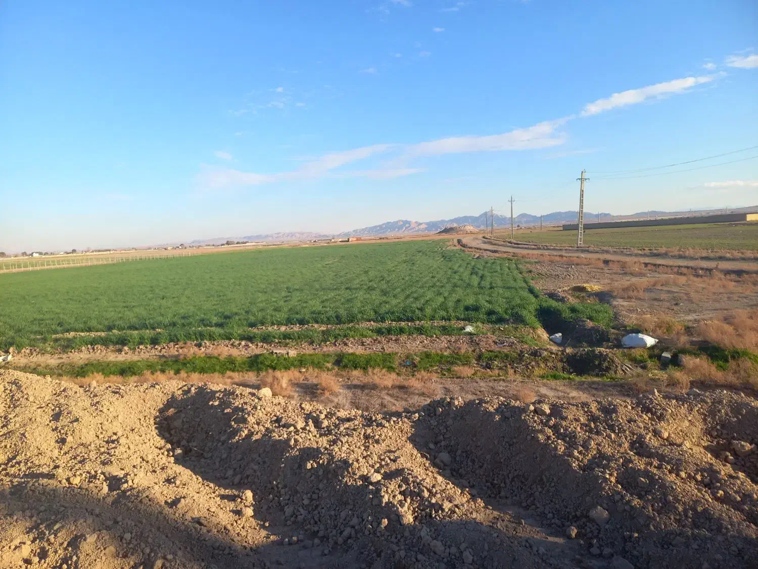 زمین کشاورزی سند ششدانگ|فروش زمین و ملک کلنگی|شریفآباد, |دیوار