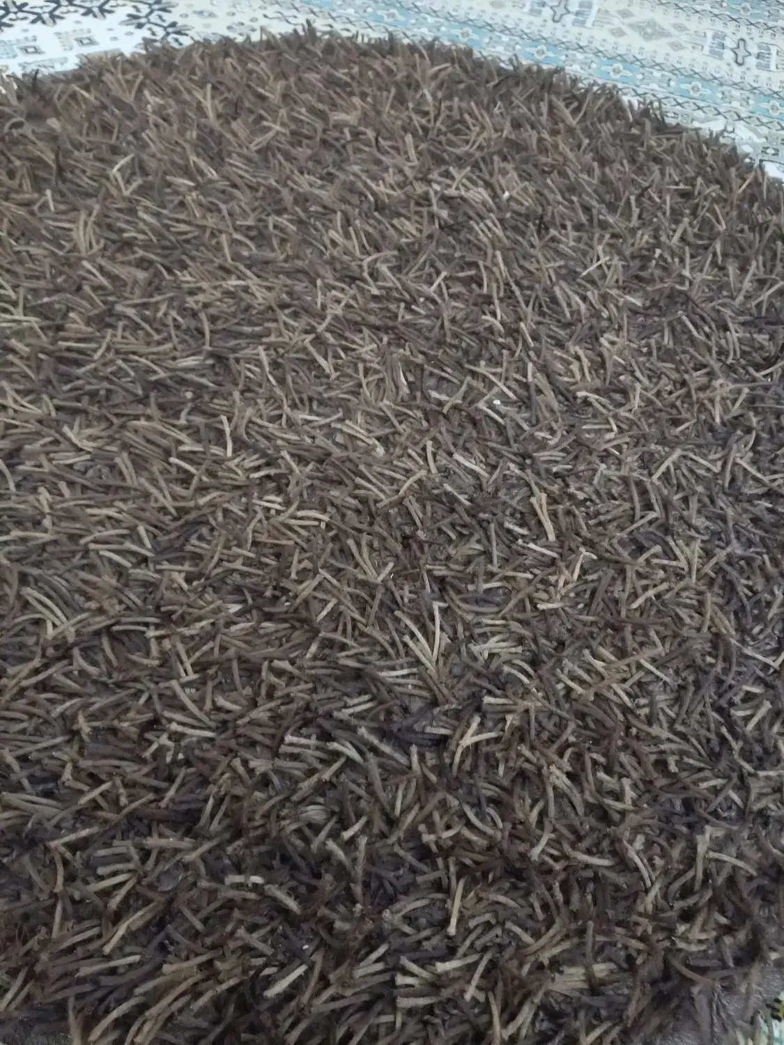 قالی تمیز ونو|فرش|اهواز, کوروش|دیوار