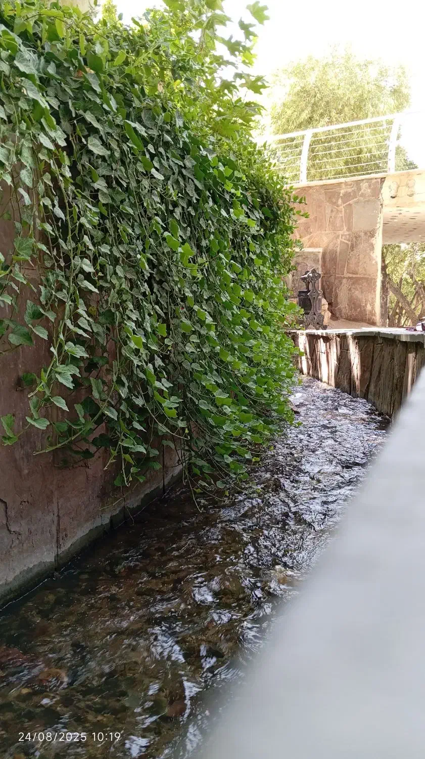 پول لازمم|فعالیت داوطلبانه|قم, ولیعصر|دیوار