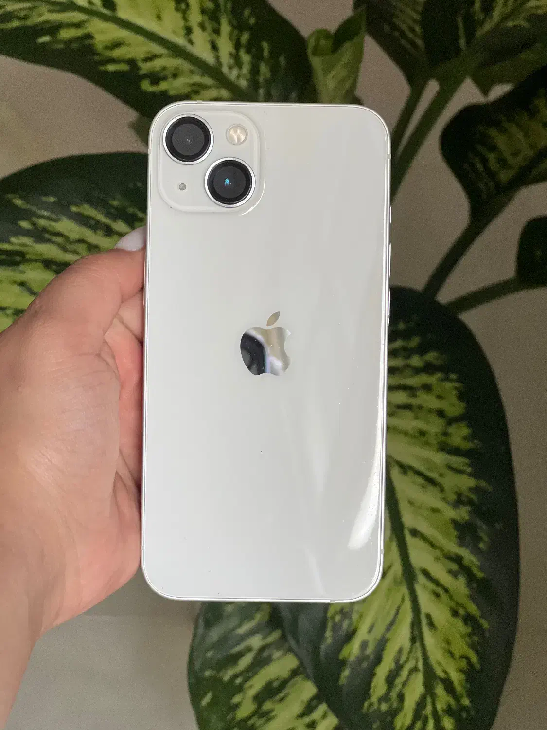 ایفون 13نرمال|موبایل|تربتحیدریه, مظفریه|دیوار