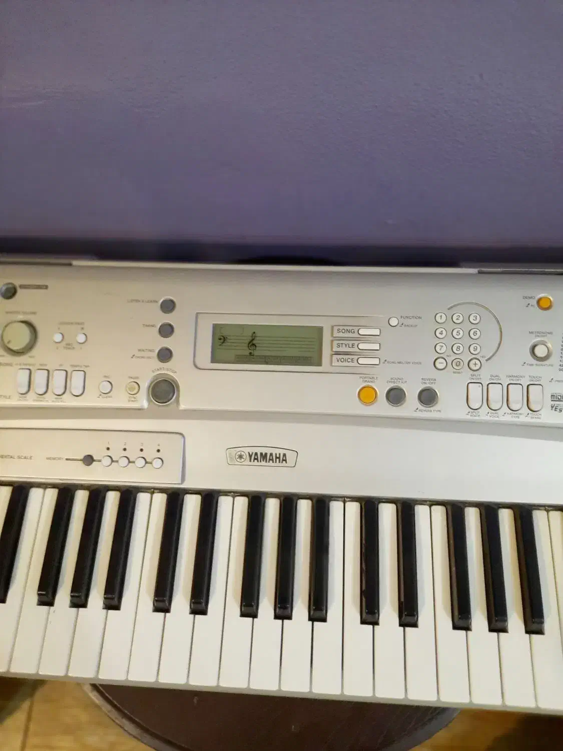 دو عدد کیبورد یاماها|پیانو، کیبورد، آکاردئون|رشت, گلسار|دیوار