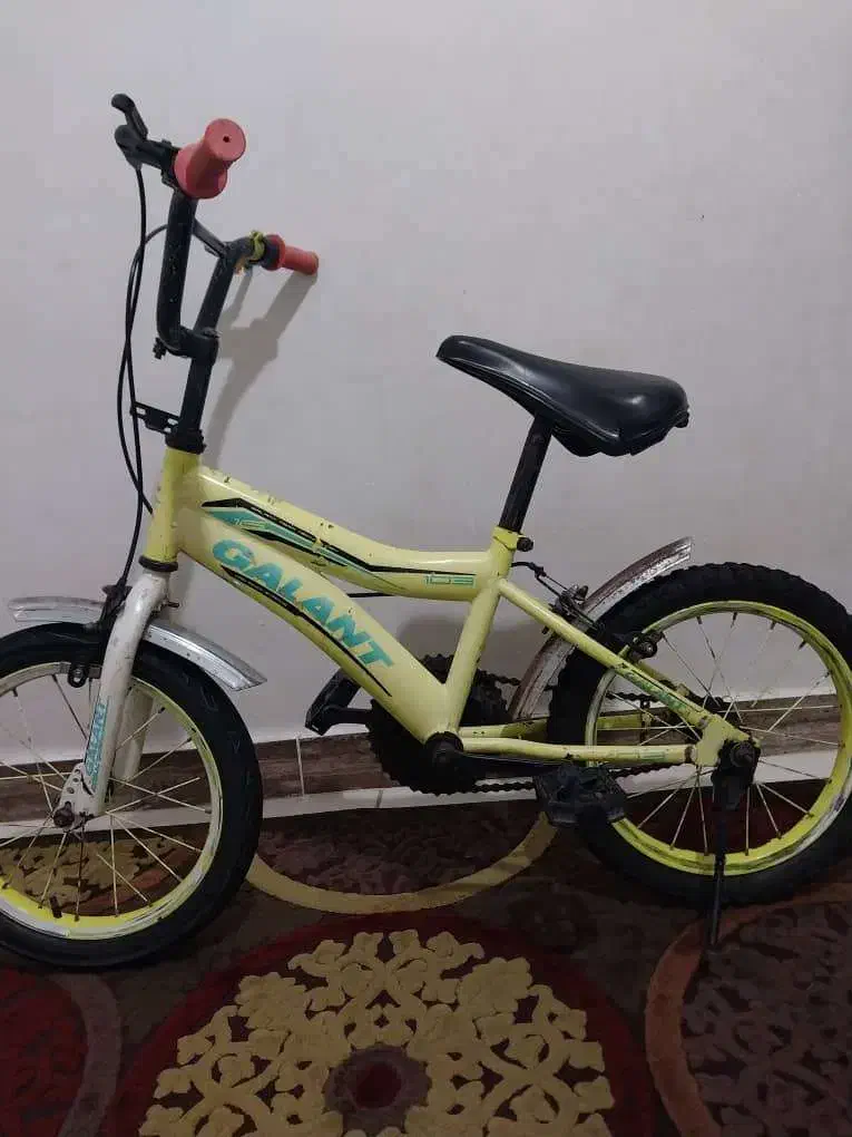 دوچرخه|دوچرخه، اسکیت، اسکوتر|آستانه اشرفیه, |دیوار