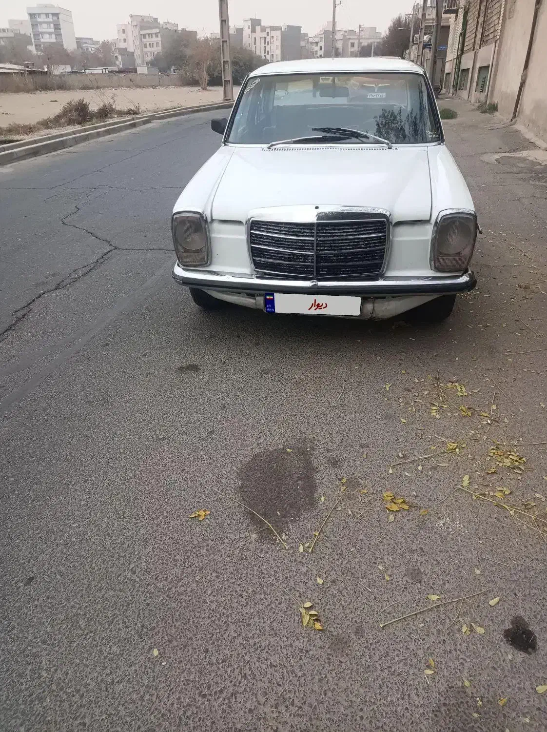 بنز 230 مدل 1975|خودرو کلاسیک|تهران, صاحب الزمان|دیوار