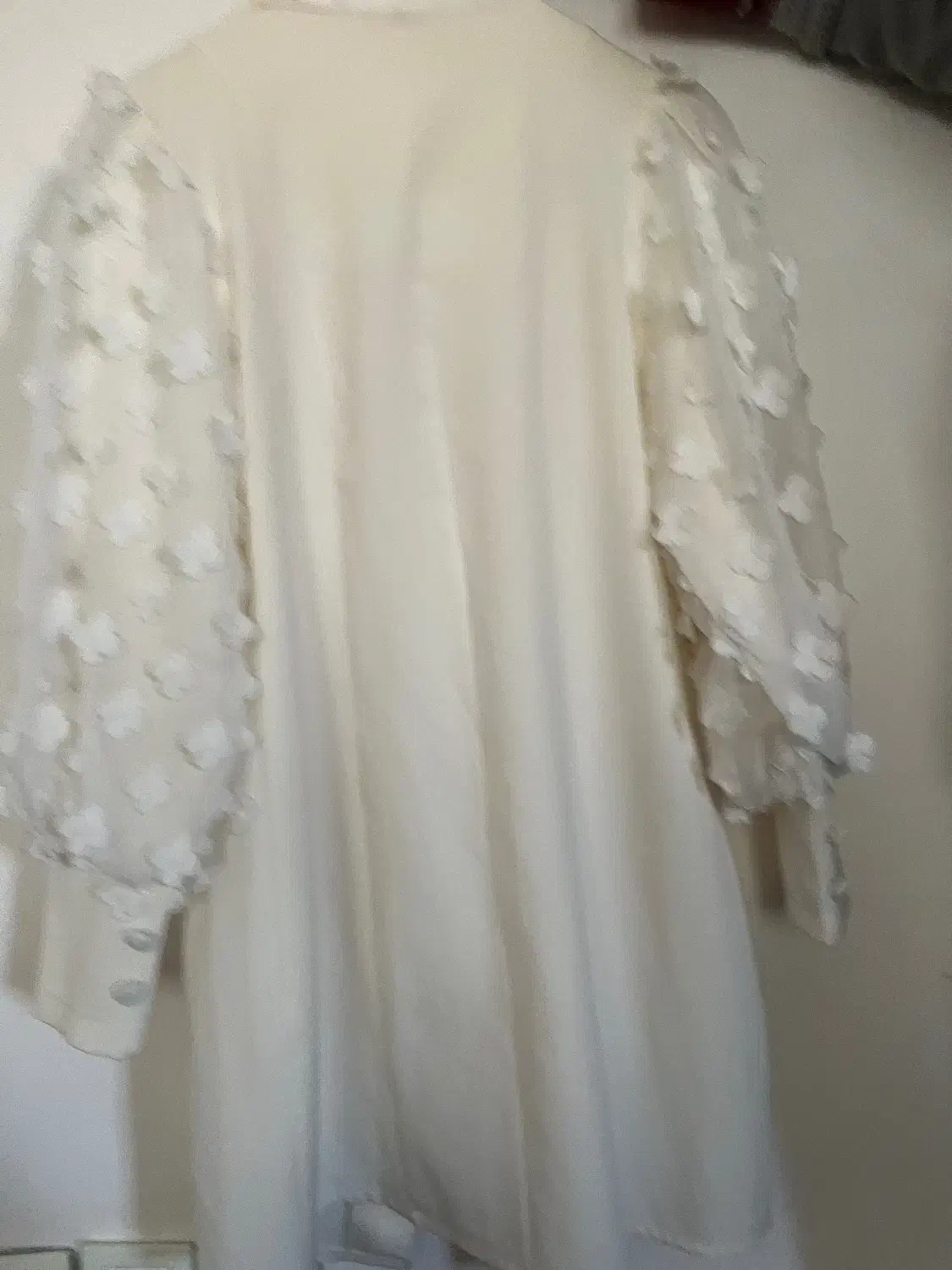 کت مجلسی|لباس|ایلخچی, |دیوار