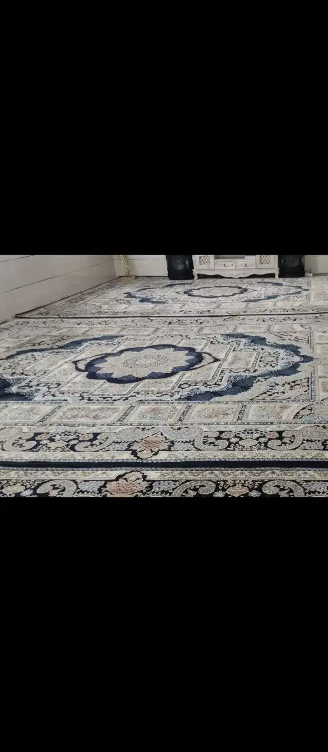 فرش 12متری 700شانه|فرش|باغ حلی, |دیوار