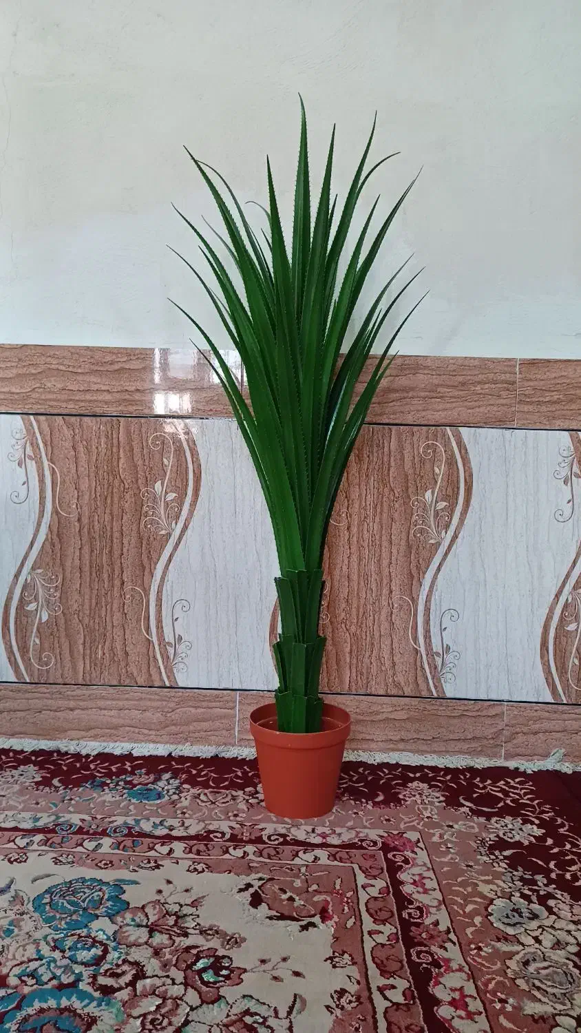 درختچه مصنوعی آلوورا طبیعینما ۱۲۰ سانت|گل مصنوعی|رامشیر, |دیوار