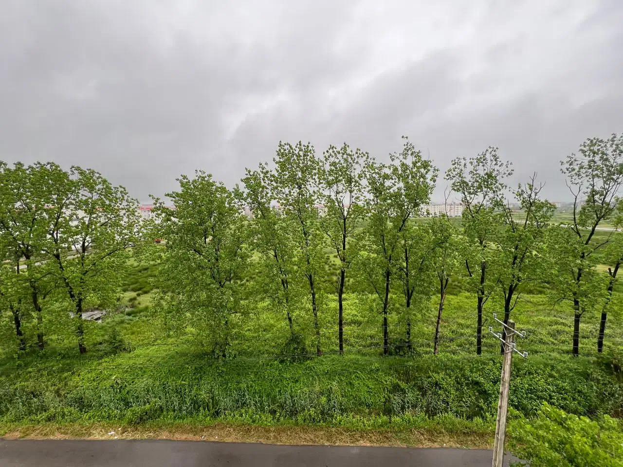 مسکن مهر ۱۰ واحدی/ویو ابدی/نما سنگ/متراژ بزرگ|فروش آپارتمان|رشت, کوی مهر|دیوار