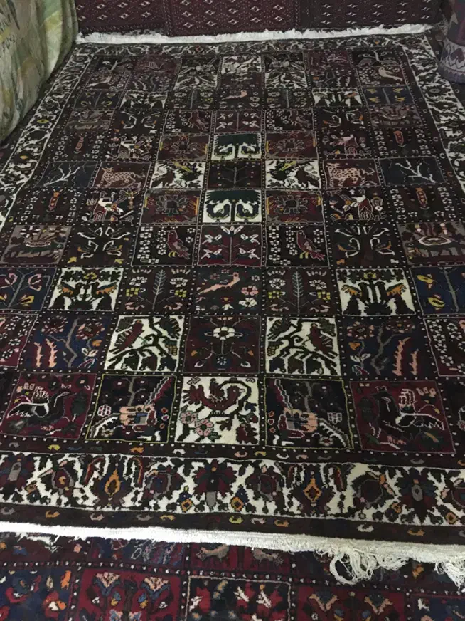 فرش دستبافت|فرش|شهرضا, |دیوار