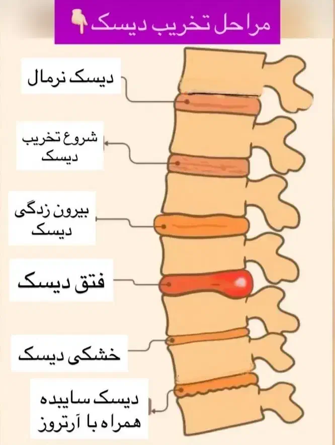 مشاوره|فعالیت داوطلبانه|شیروان (خراسان), |دیوار