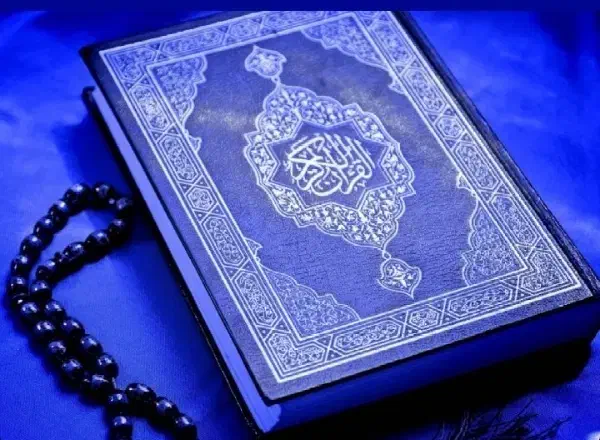 نویسنده|فعالیت داوطلبانه|گرگان, |دیوار