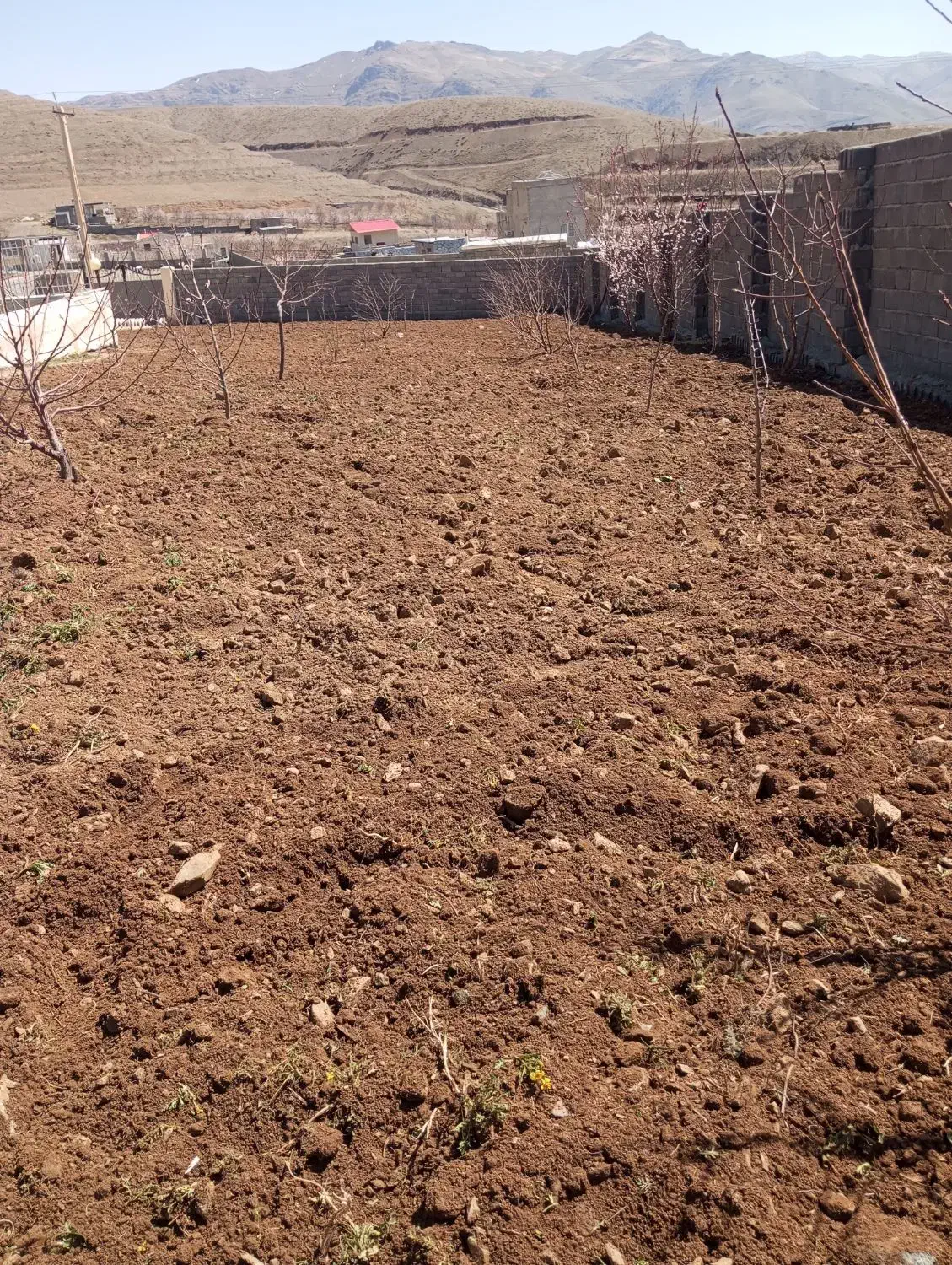 خدمات کشاورزی چالکود تیلر سم پاش کود حیوانی|خدمات باغبانی و درختکاری|سنندج, |دیوار