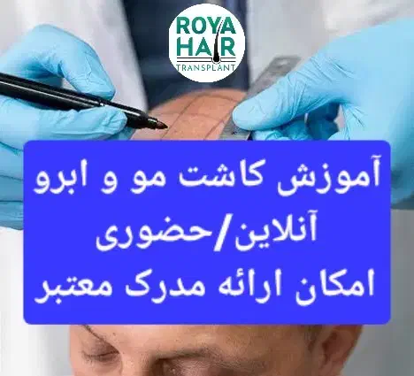 آموزش کاشت مو ابرو صفرتاصد آنلاین شهرستان یاحضوری|خدمات آموزشی|شیراز, قدوسی غربی|دیوار