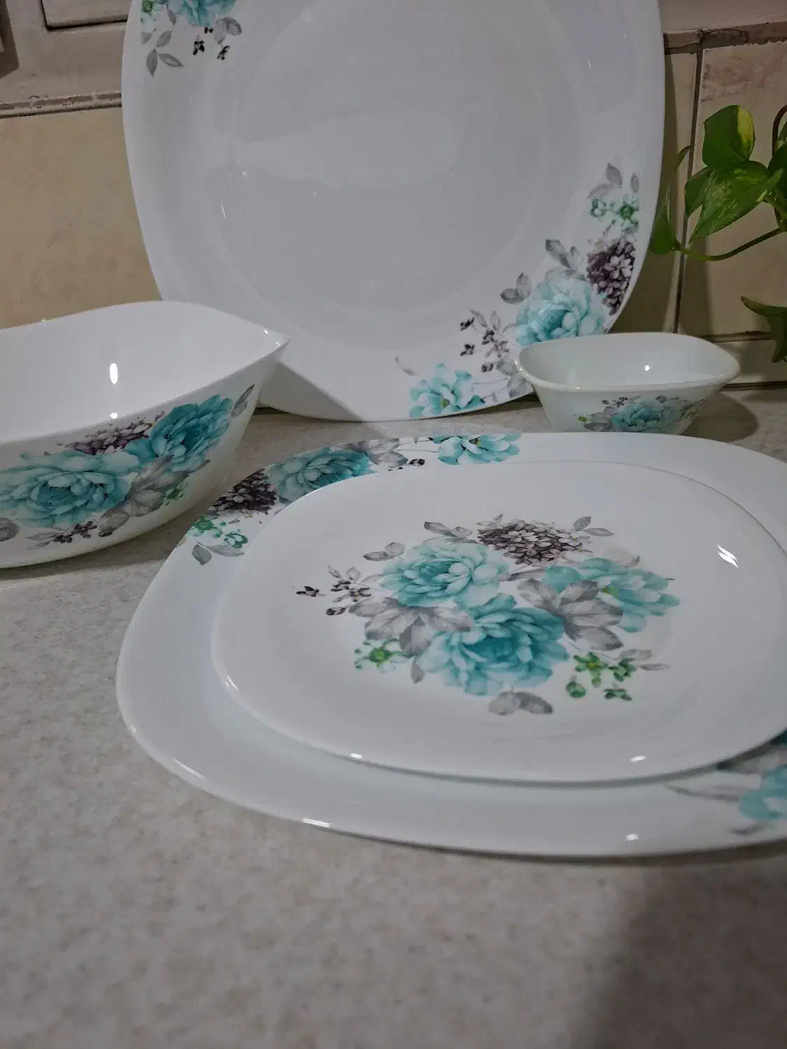 ارکوپال|ظروف سرو و پذیرایی|ابهر, |دیوار