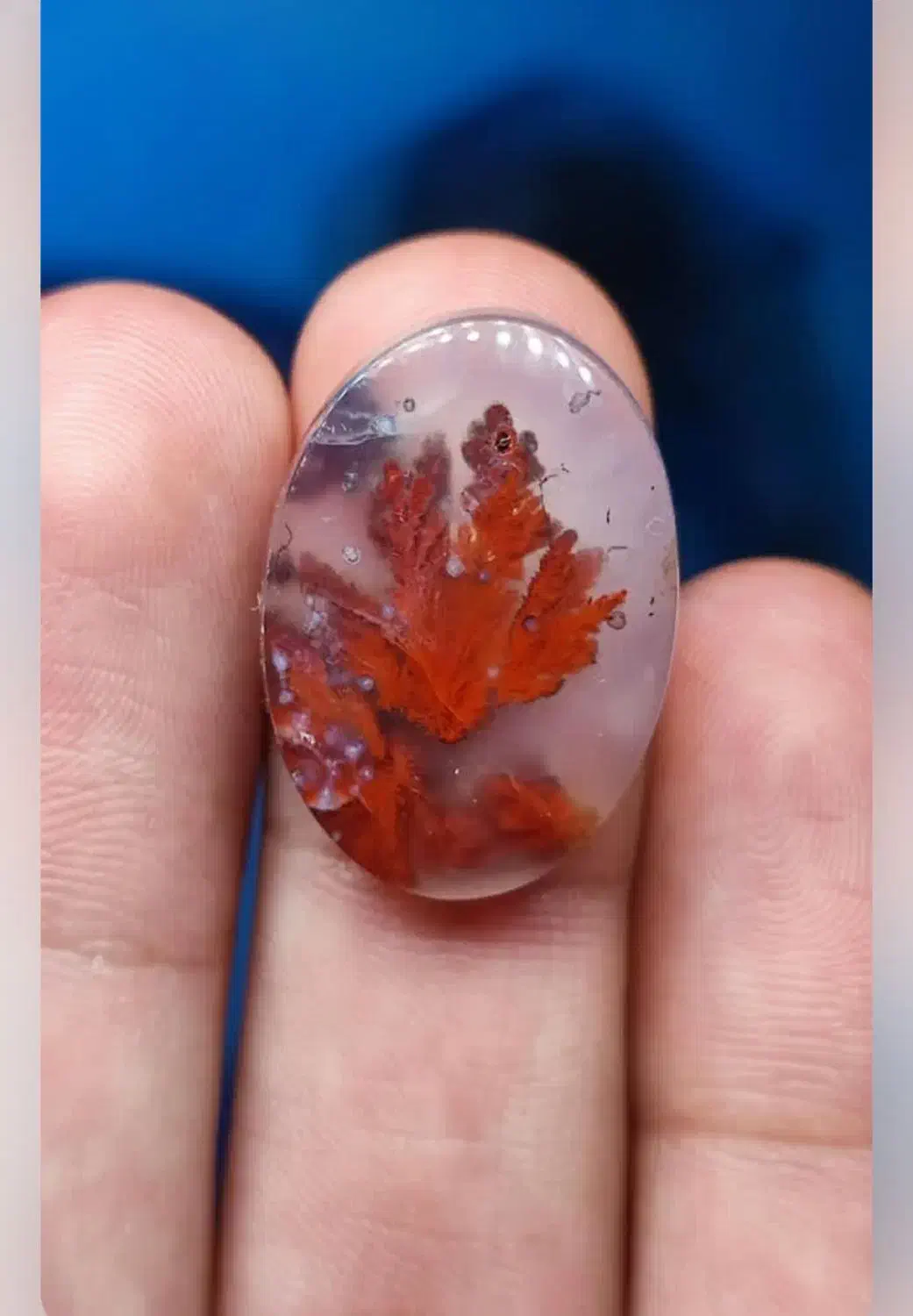 شجر درختی بی نظیر|جواهرات|سرایان, |دیوار