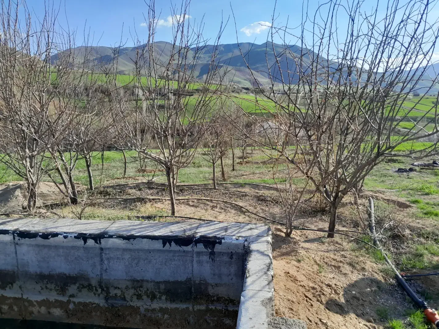 رنگه رژان|فروش دفتر صنعتی، کشاورزی، تجاری|سرشیو, |دیوار