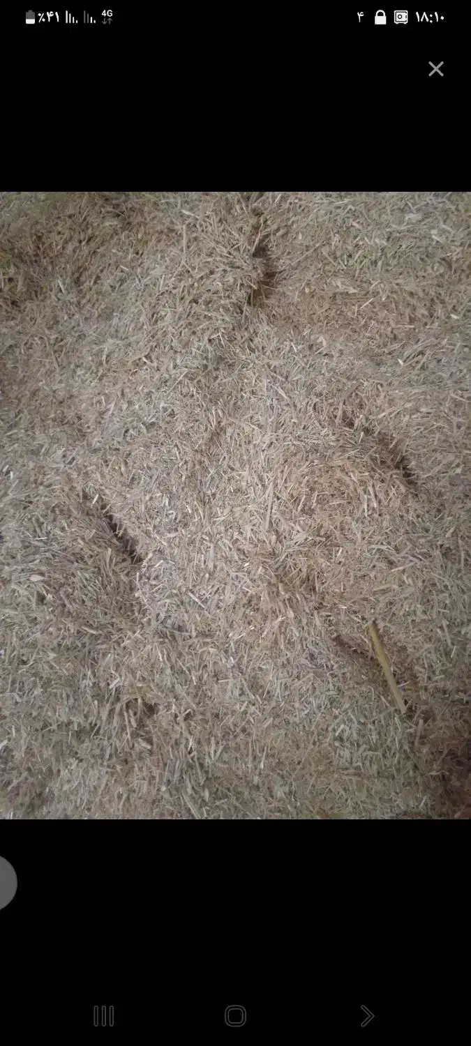 کاه تمیز|لوازم جانبی حیوانات|طاغنکوه, |دیوار