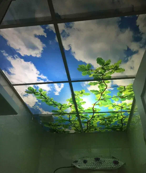 اجرای تایل 60+60و دیوار پوش پی وی سی|خدمات پیشه و مهارت|کرمانشاه, |دیوار