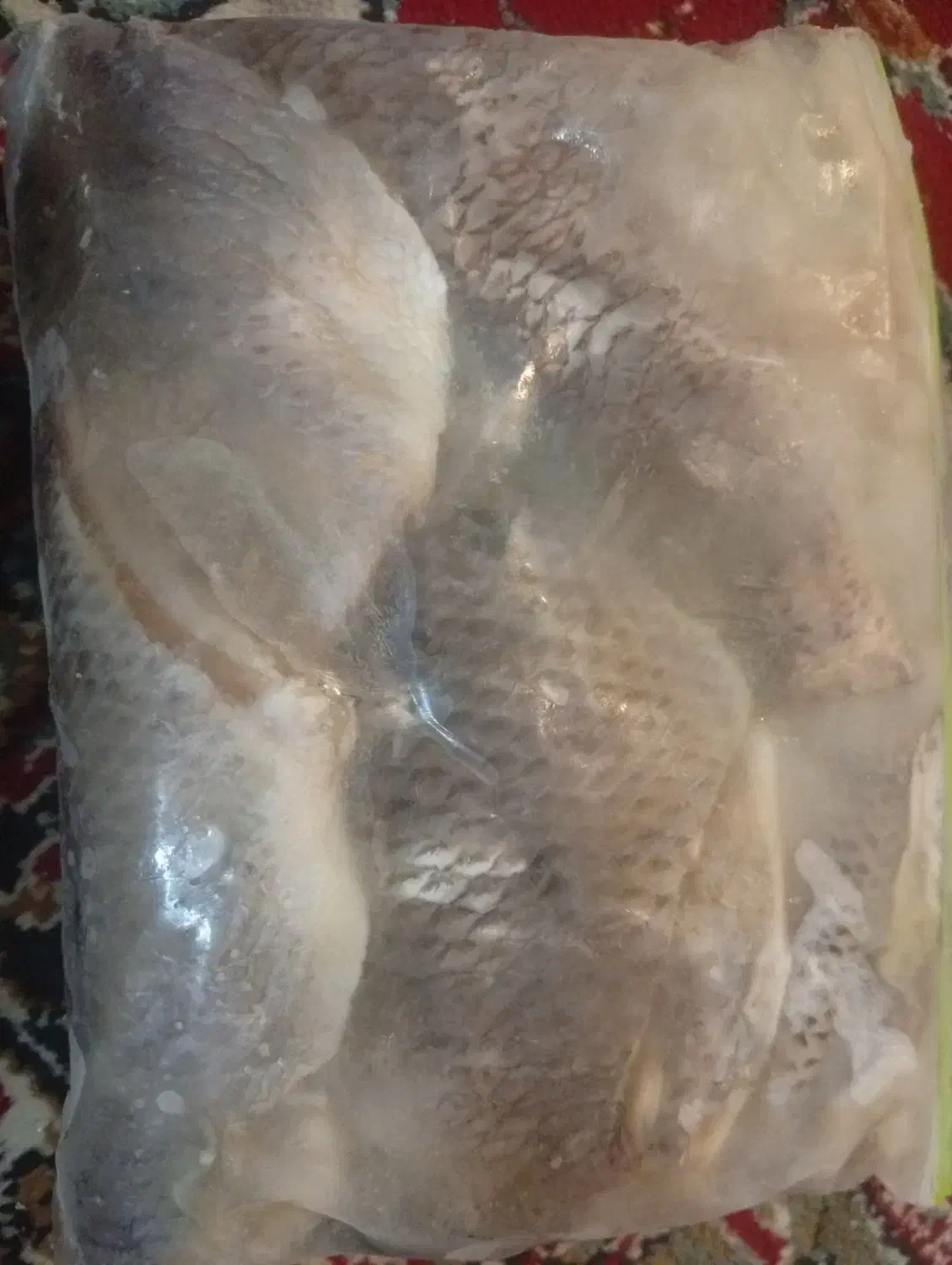 ماهی|ماهی|یزد, |دیوار