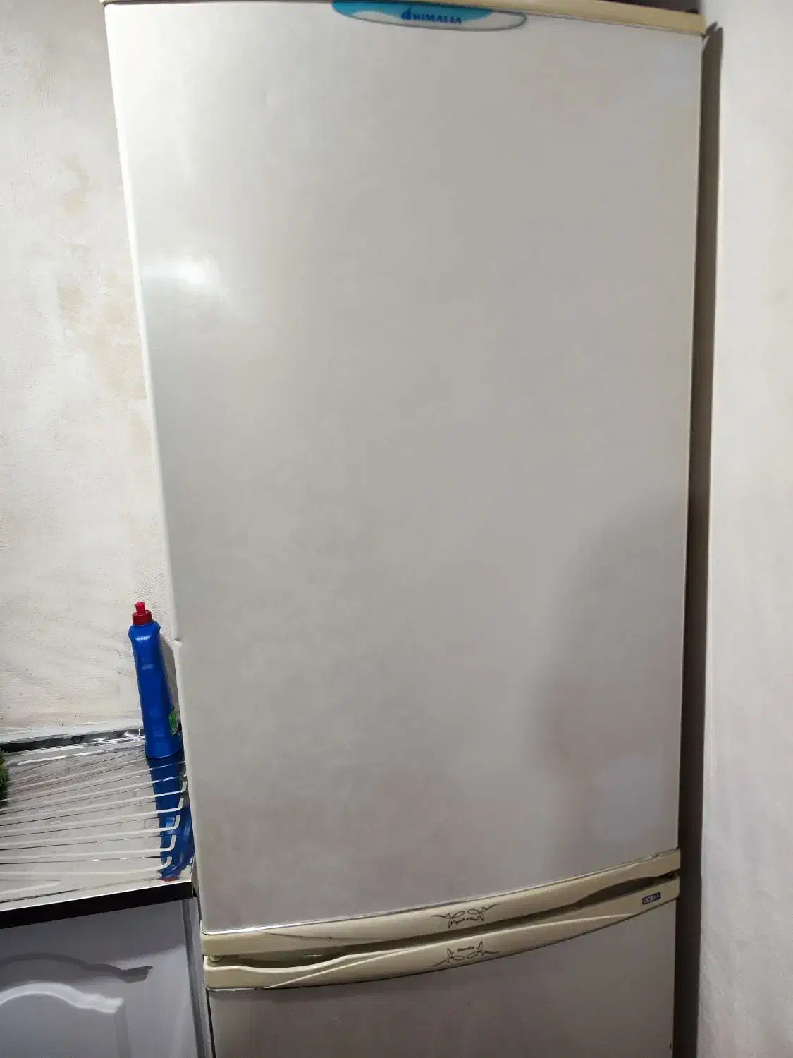 یخچال|یخچال و فریزر|عباس‌آباد, |دیوار