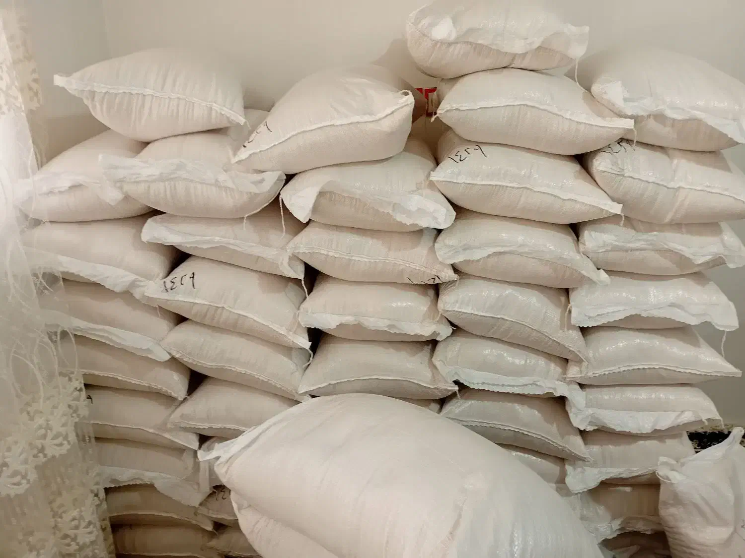 برنج فجر سوزنی در جه یک|عمده‌فروشی|کردکوی, |دیوار