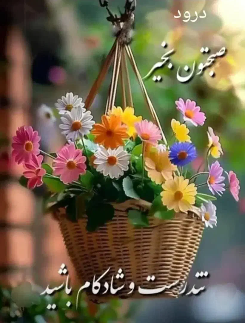 نیاز به راهنمایی دارم|فعالیت داوطلبانه|قم, پردیسان|دیوار