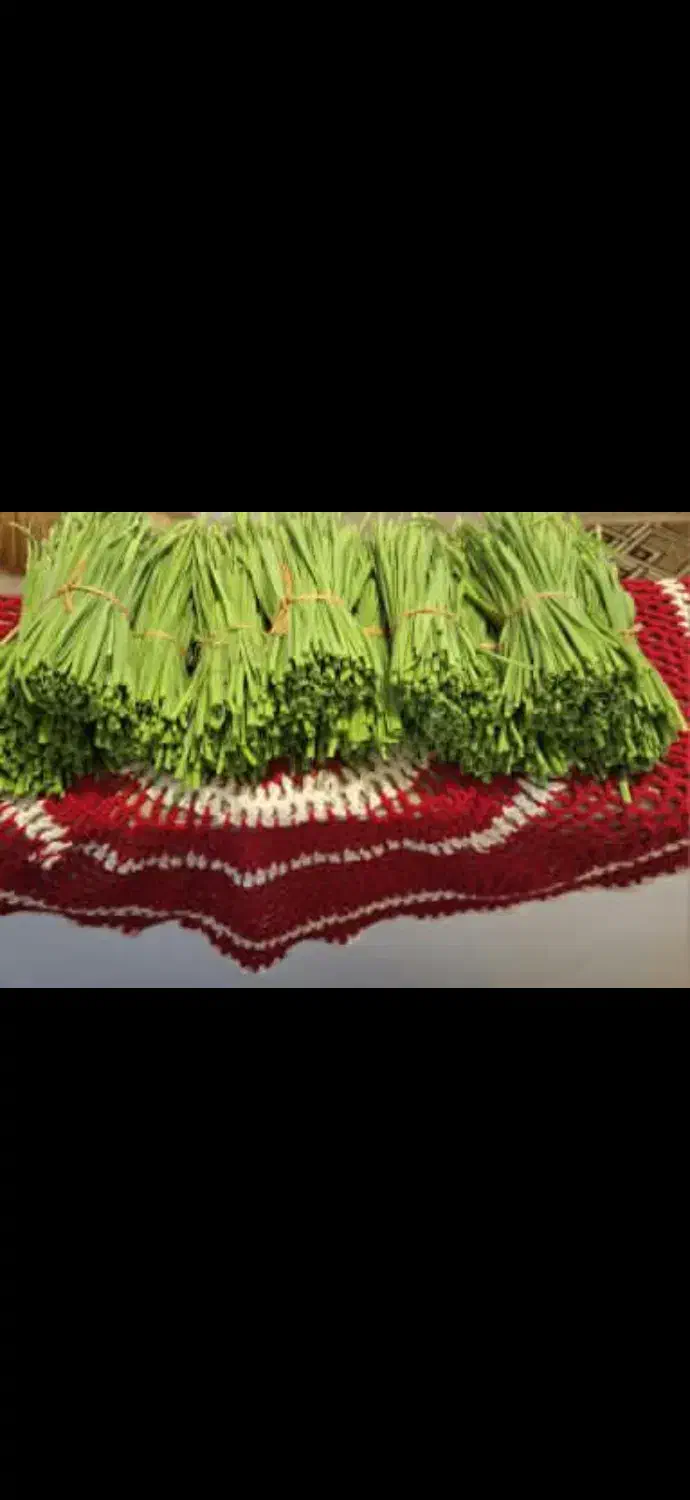 برگ سیر تازه|خوردنی و آشامیدنی|رشت, پیرکلاچای|دیوار