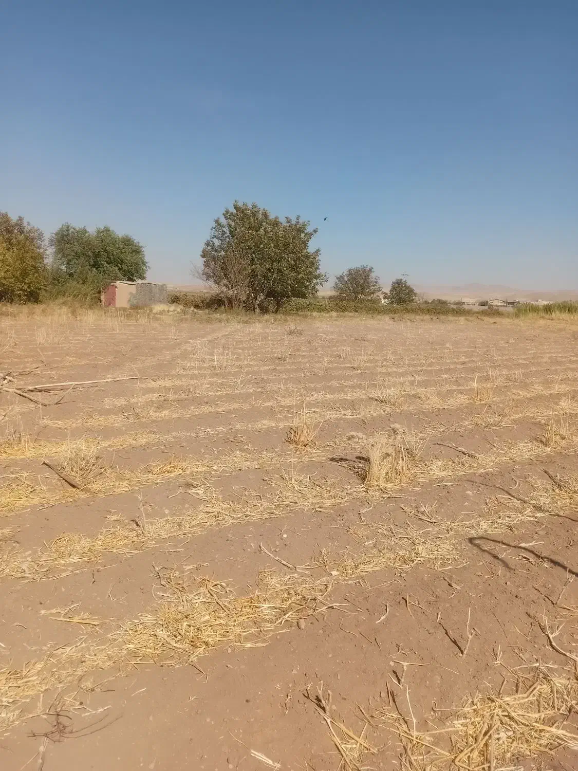 زمین زراعی کشاورزی حاصلخیز نزدیک آب|فروش زمین و ملک کلنگی|باروق, |دیوار