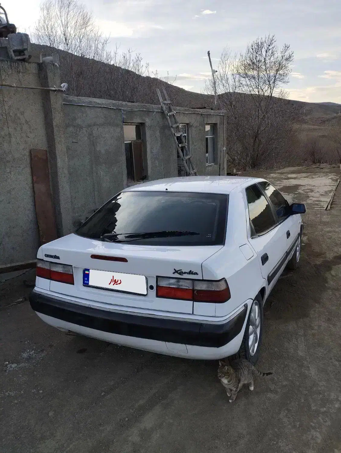 زانتیا ۸۹|خودرو سواری و وانت|اردبیل, |دیوار