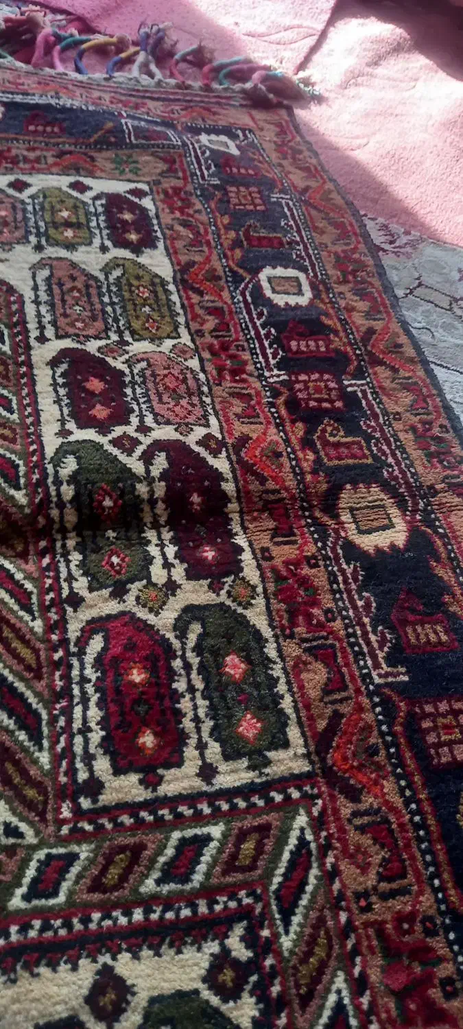 قالیچه دستباف|فرش|گنبد کاووس, |دیوار