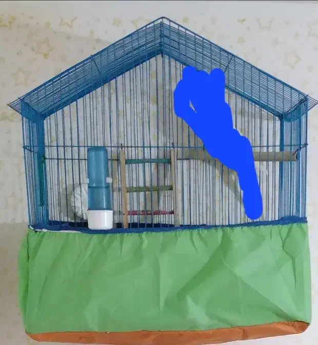 قفس|لوازم جانبی حیوانات|اراک, |دیوار