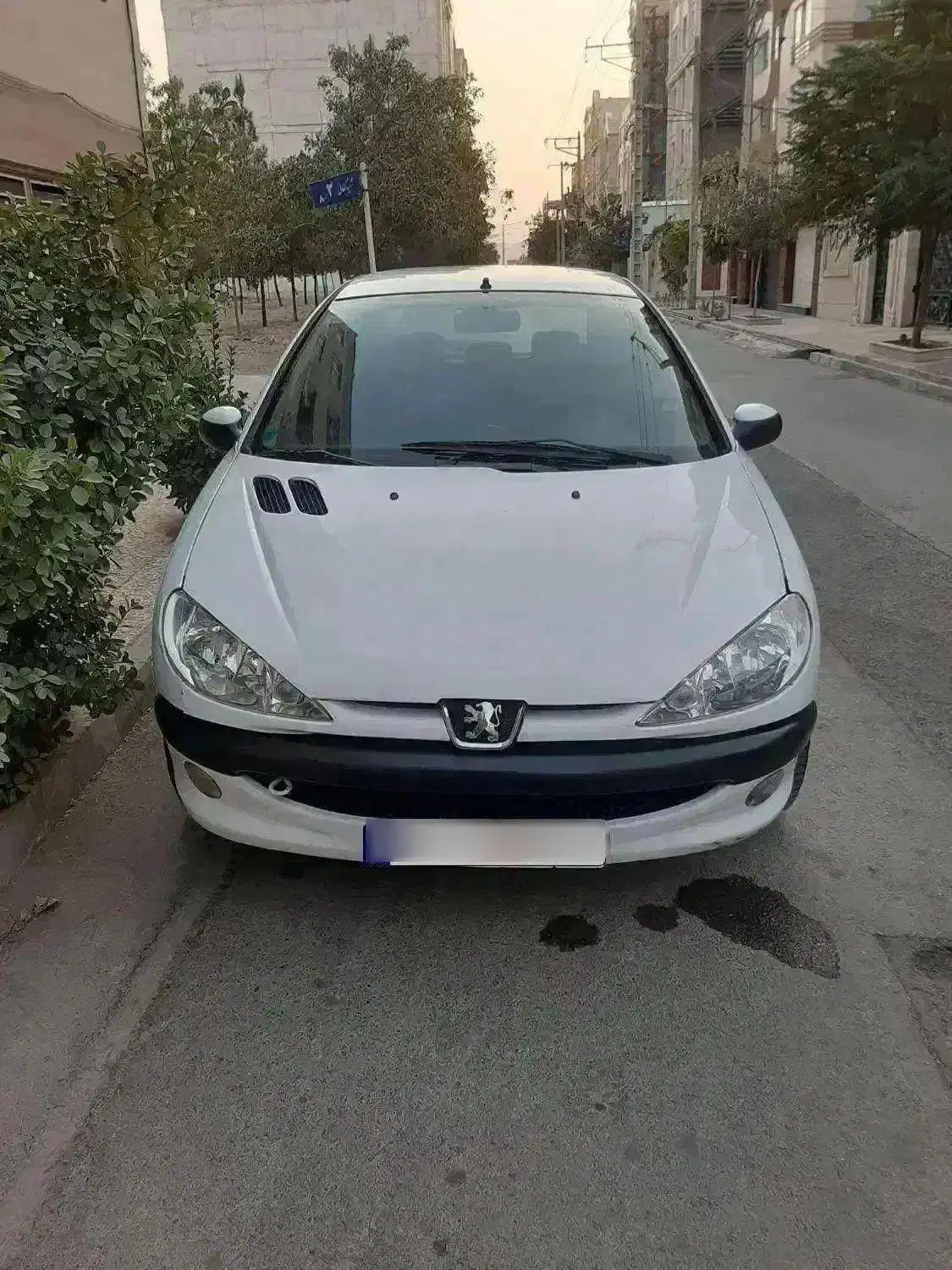 206 مدل 94 معاوضه با برلیانس|خودرو سواری و وانت|مشهد, الهیه|دیوار