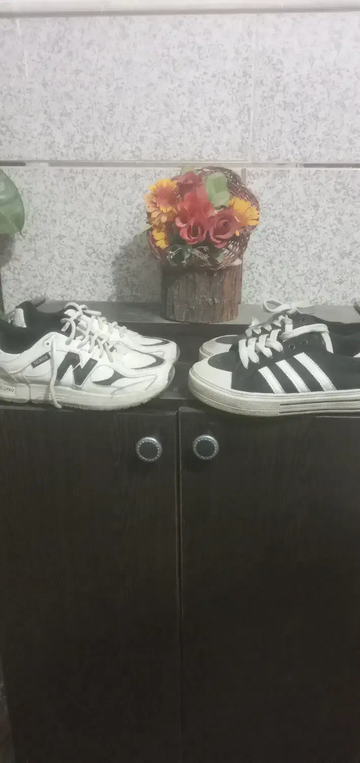 کفش.اسپرت|کیف، کفش، کمربند|آباده, |دیوار