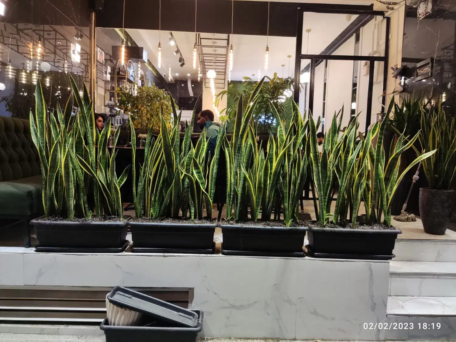 باغچه کاری و تعویض گلدان در خانه شما بدون کثیفی|خدمات باغبانی و درختکاری|مشهد, امیر|دیوار