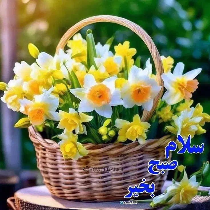 خرید و فروش فیش حج|تور و چارتر|شاهین دژ, |دیوار