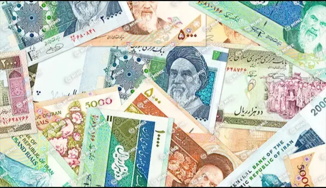 قرض میخوام|فعالیت داوطلبانه تحقیقاتی|تبریز, |دیوار