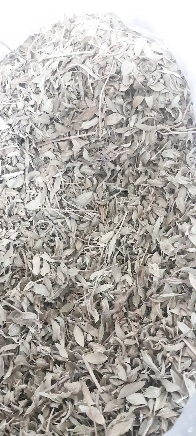 آویشن و کلکنه|لوازم جانبی حیوانات|خرم‌آباد, |دیوار