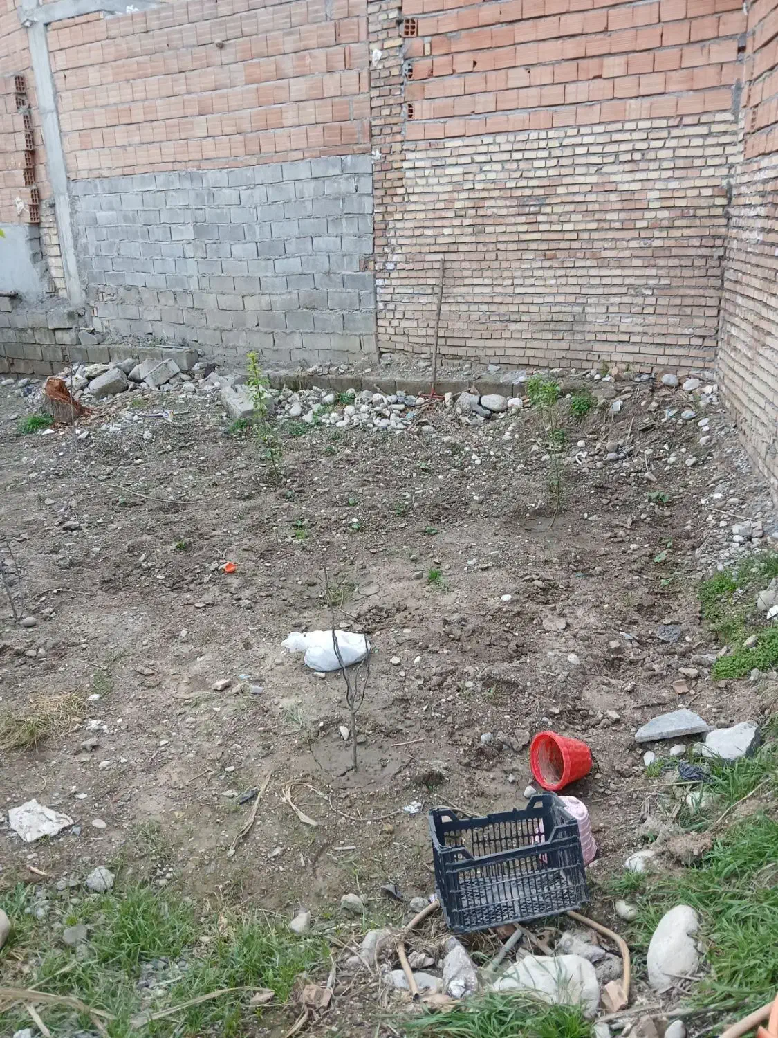 زمین|فروش زمین و ملک کلنگی|مینودشت, |دیوار