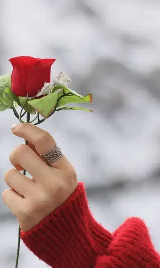 کلاس های خصوصی پایه ابتدایی با معلم با سابقه|خدمات آموزشی|قزوین, |دیوار