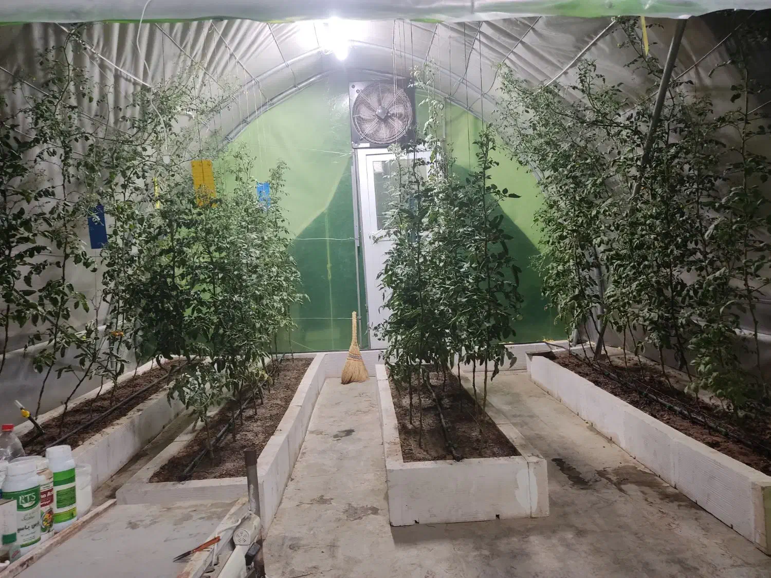 سازه گلخانه|عمدهفروشی|شیراز, شریفآباد|دیوار