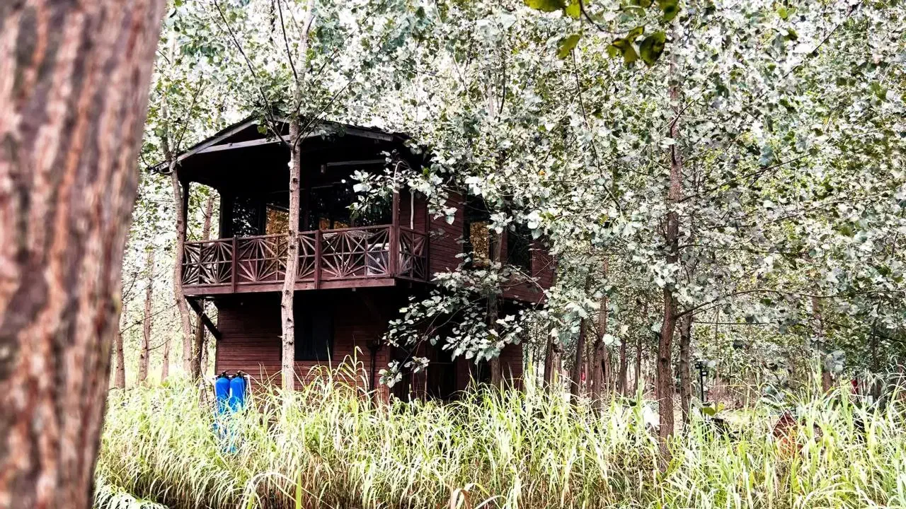 فرصت ویژه برای داشتن یه ویلای خاص|فروش خانه و ویلا|شازند, |دیوار