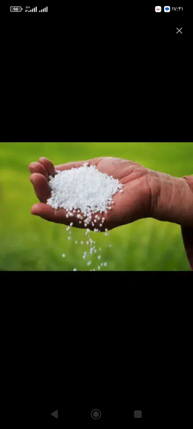 کود سفید ریز|خدمات باغبانی و درختکاری|گنبد کاووس, |دیوار