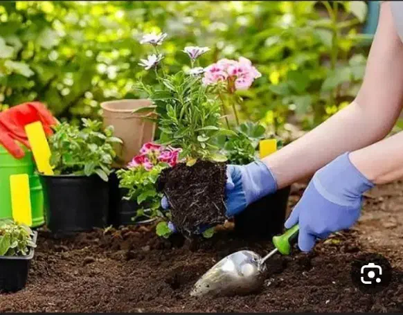 انجام کل امور نظافت،آپارتمان،و باغ بانی|خدمات نظافت|تهران, پونک|دیوار