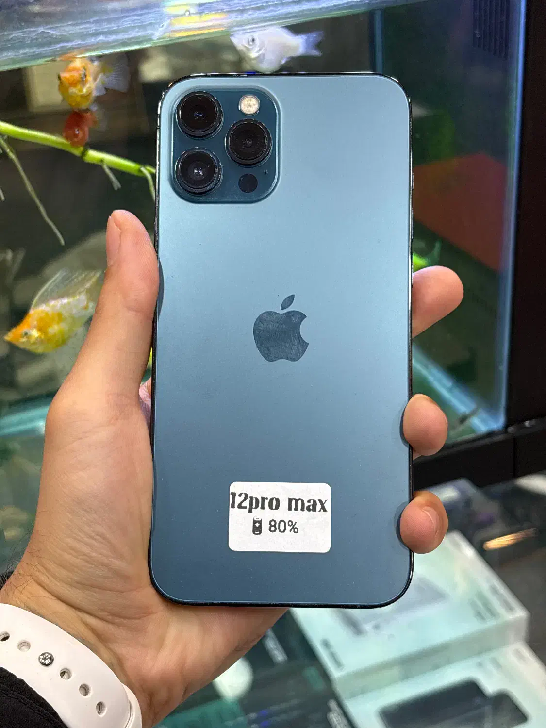 12pro max|موبایل|شیراز, زند|دیوار