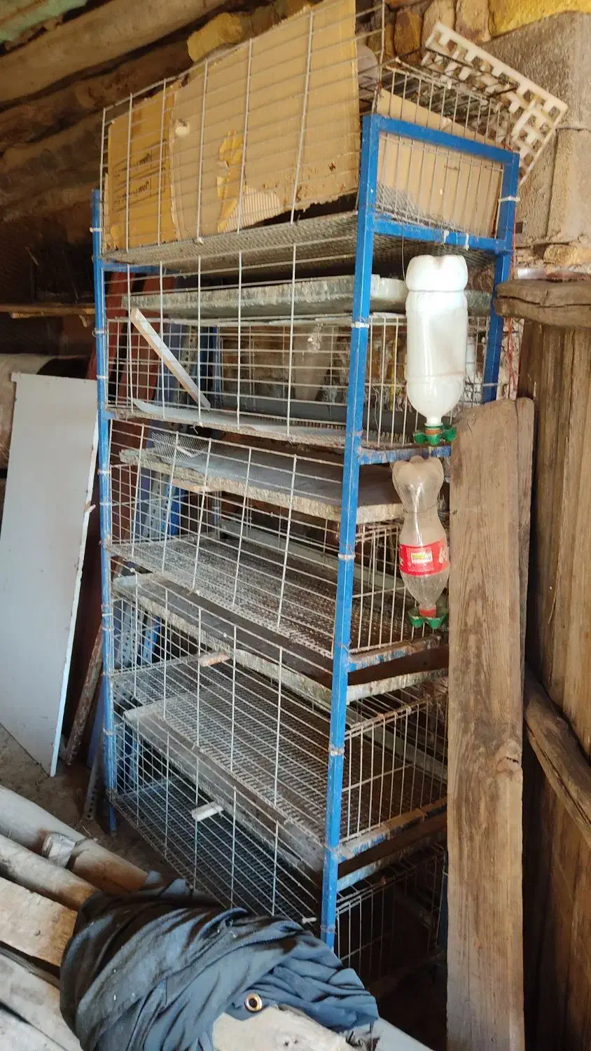 قفس پرندگان|لوازم جانبی حیوانات|جوانرود, |دیوار