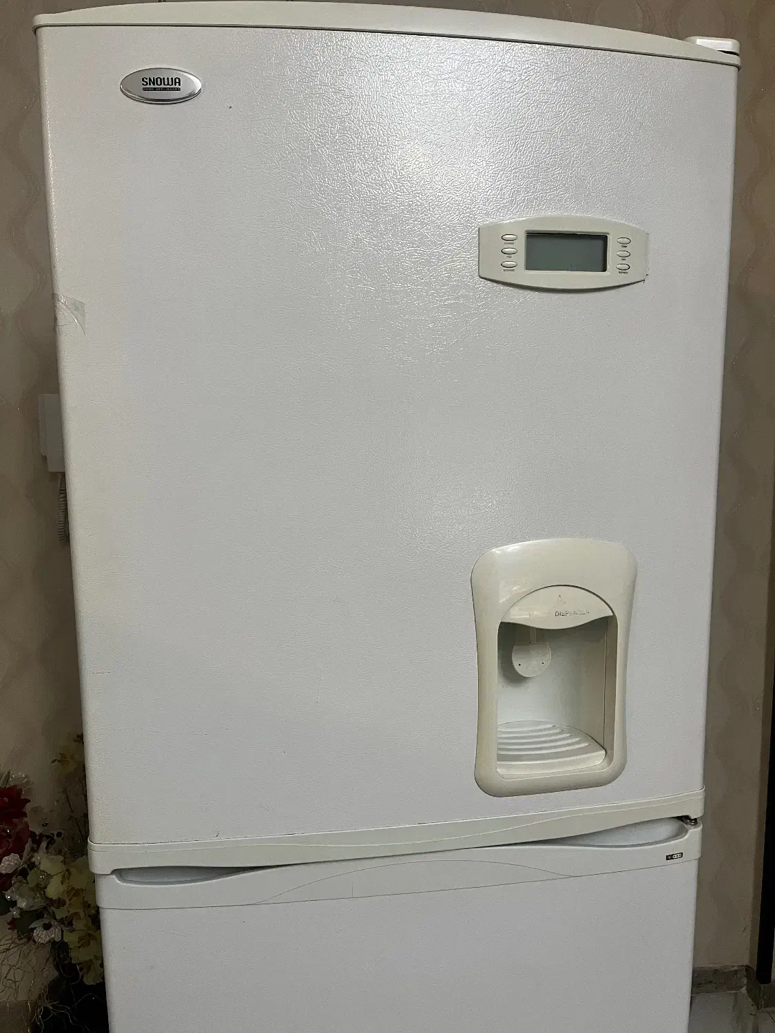 یخچال فریزر اسنوا|یخچال و فریزر|فولادشهر, A6|دیوار