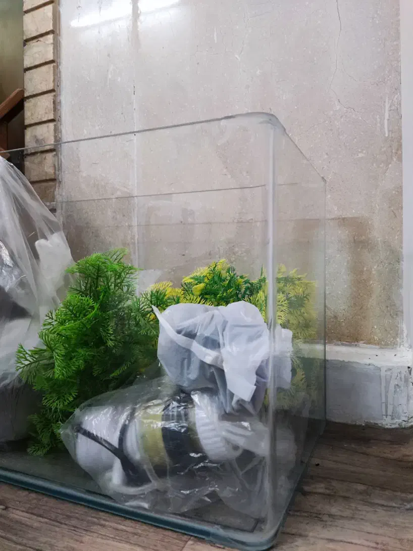 اکواریوم|ماهی|شیراز, زرگری|دیوار