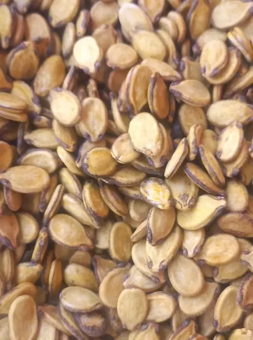 تخمه|خوردنی و آشامیدنی|تهران, هرندی|دیوار
