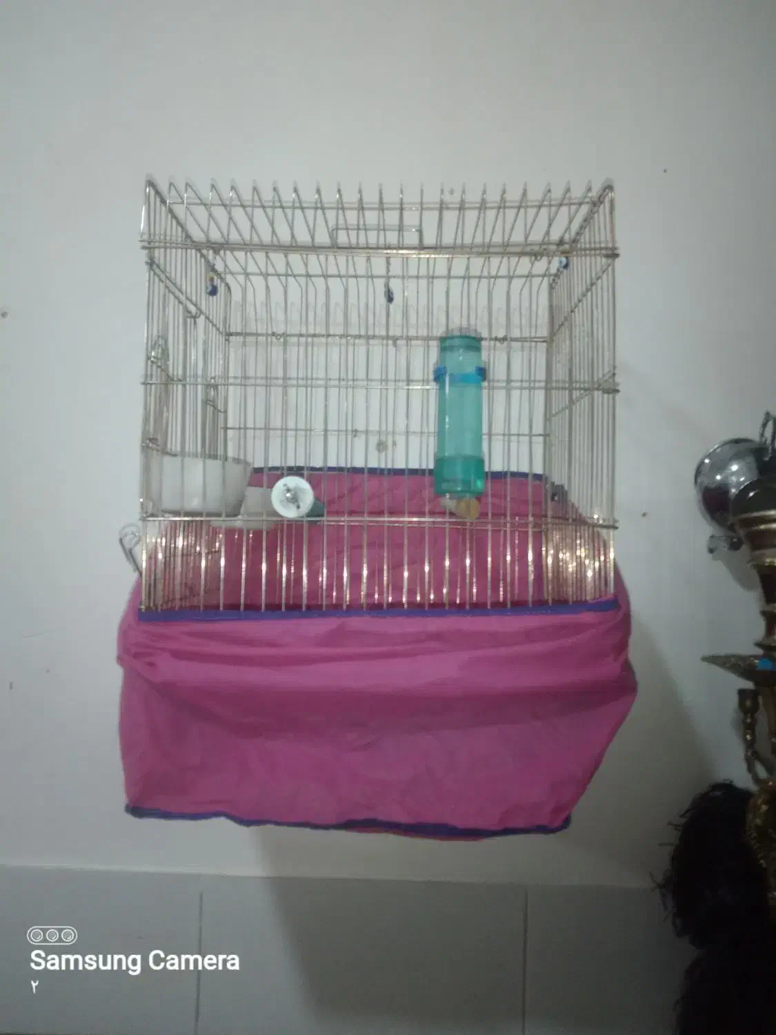 قفس نونو|لوازم جانبی حیوانات|ازنا, |دیوار