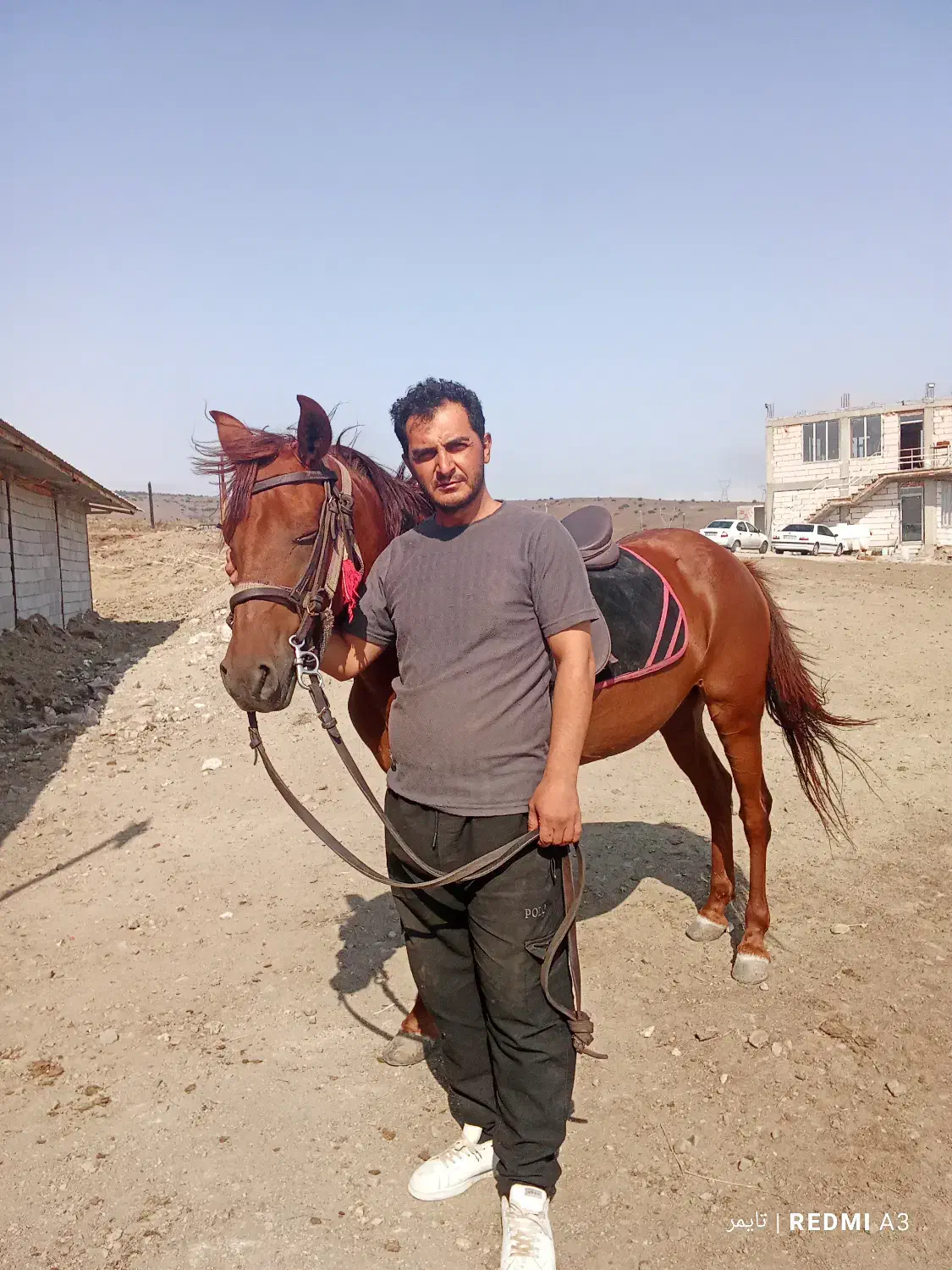 فروش دوراس مادیان|اسب و تجهیزات اسبسواری|نمین, |دیوار