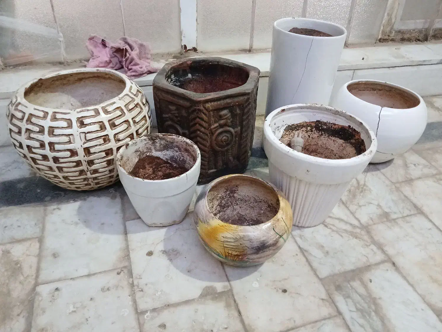 گلدان سفالی و سرامیکی|گل و گیاه طبیعی|قم, شهدا|دیوار